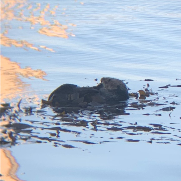 Meet your Posher, Heidi - Picture 6 of 8